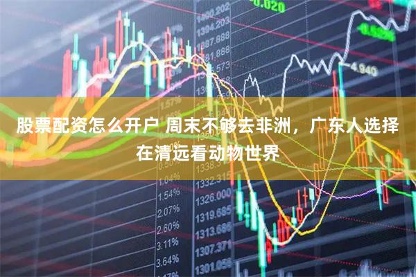 股票配资怎么开户 周末不够去非洲，广东人选择在清远看动物世界