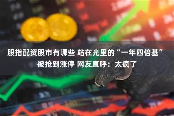 股指配资股市有哪些 站在光里的“一年四倍基” 被抢到涨停 网友直呼：太疯了